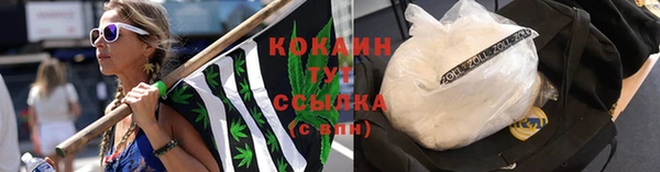 мдпв Надым