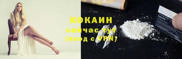 мдпв Надым