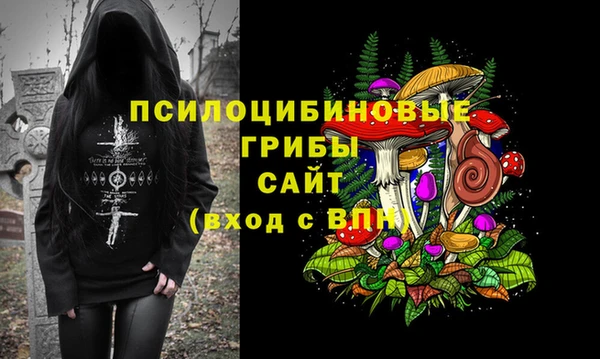 СК Навашино