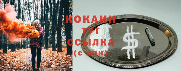 мдпв Надым