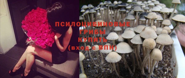 СК Навашино
